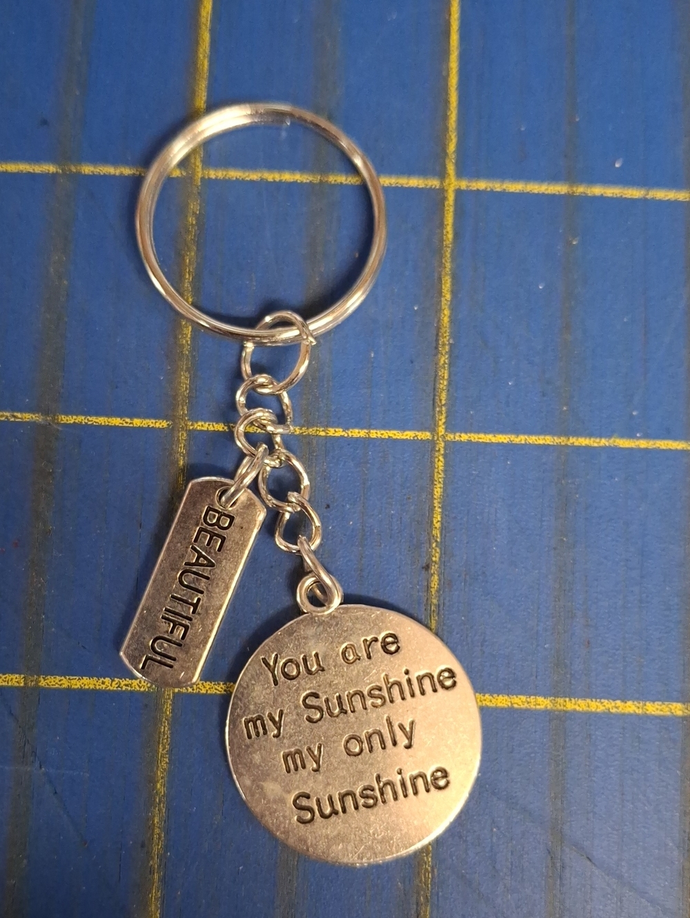 Beautiful You Are My Only SunshinebSilver Keyring Purse Charm